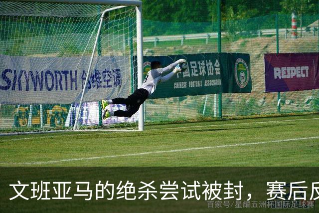 文班亚马的绝杀尝试被封，赛后反响热烈